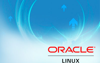 Oracle Developers Need an Operating System Designed for Oracle