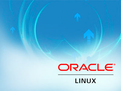 Oracle Developers Need an Operating System Designed for Oracle